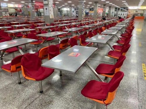 一份食堂泡芙秘方引发的走红