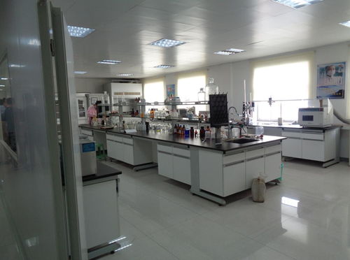 筑牢餐饮安全防线 饮食服务集团食品安全检查月正式启动